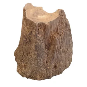 10300